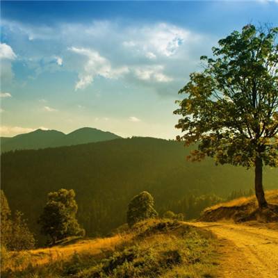 ag真人平台官方app下载